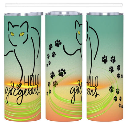 20oz Straight Stainless Steel Tumbler with Straw
