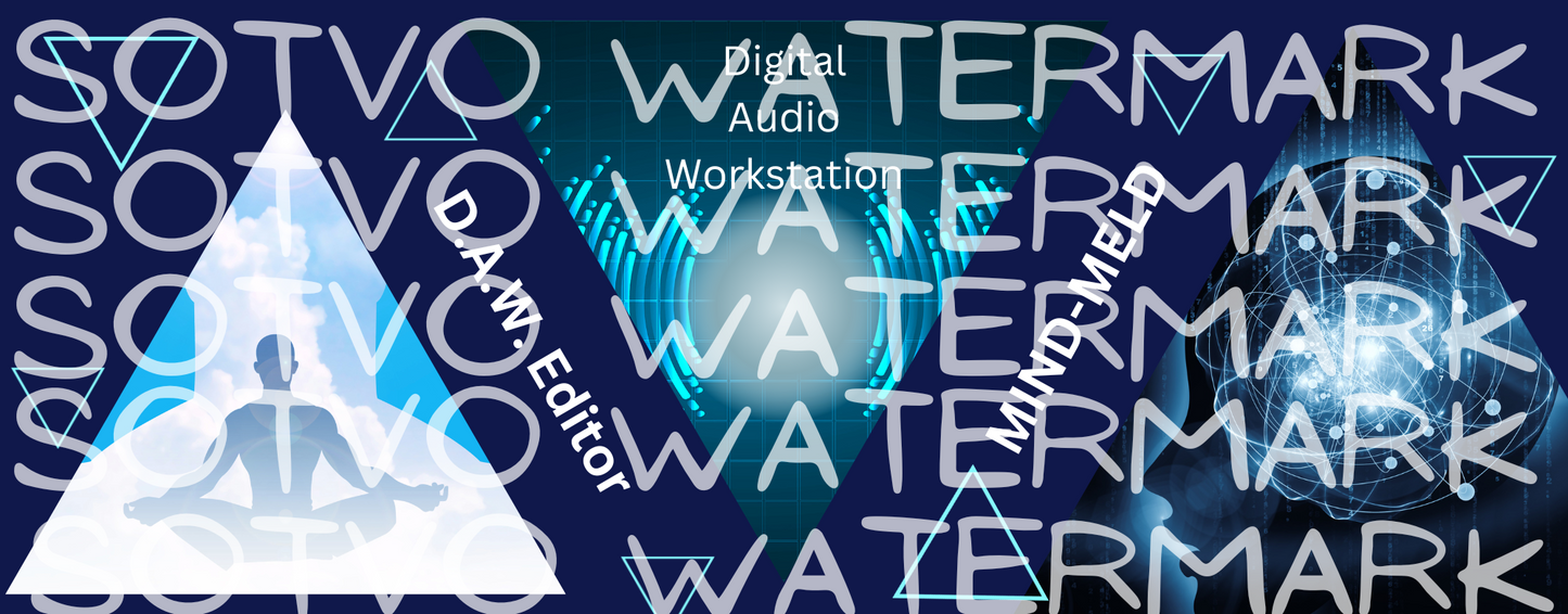 D.A.W. Audio Editor Classic Black Glossy Mug: MIND MELD