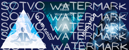 D.A.W. Audio Editor Classic Black Glossy Mug: MIND MELD
