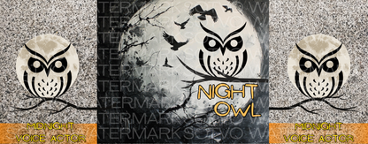 Night Owl: Midnight Recording Sessions: Classic Ceramic Black Glossy Mug